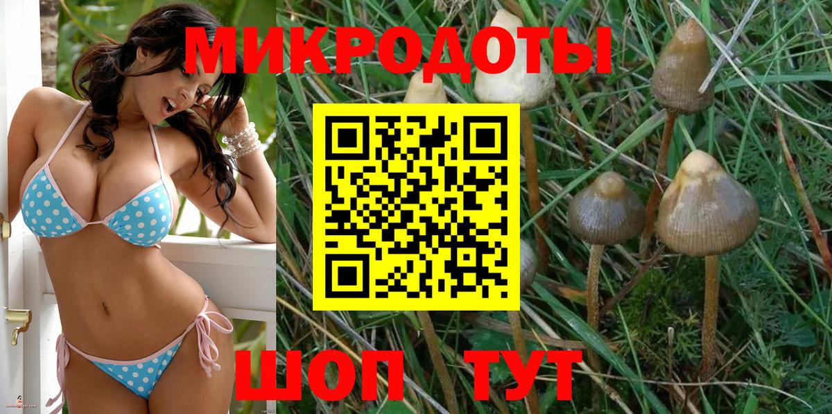 Псилоцибиновые грибы прущие грибы  Вход с VPN  Галлюциногенные грибы Cubensis  Коммунар 