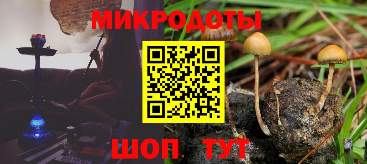 Галлюциногенные грибы MAGIC MUSHROOMS Коммунар